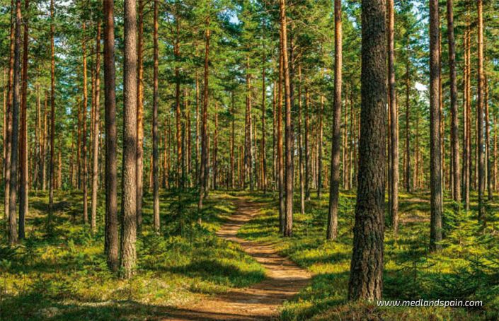 Image No.10-3 Bed Apartment for sale