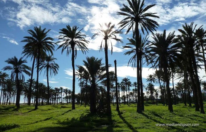 Image No.10-3 Bed Villa for sale