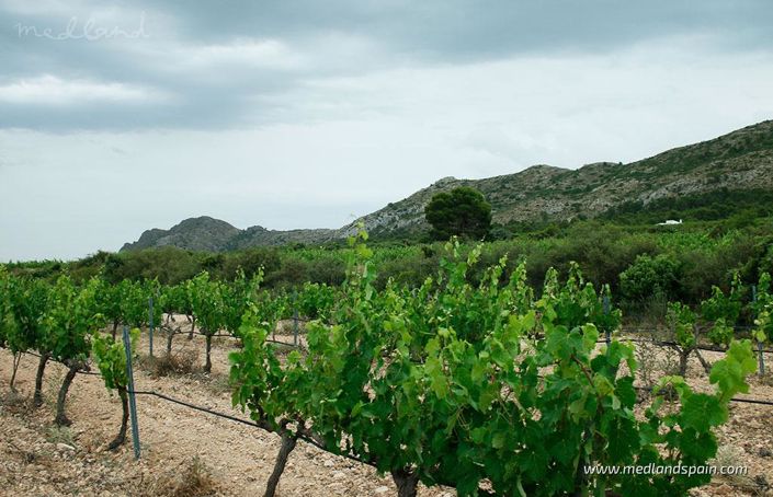 Image No.8-6 Bed Villa for sale