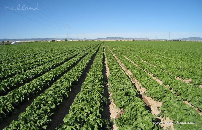 Image No.8-Villa de 3 chambres à vendre à Murcie