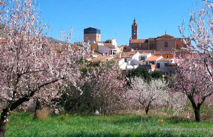 Image No.10-3 Bed Villa for sale