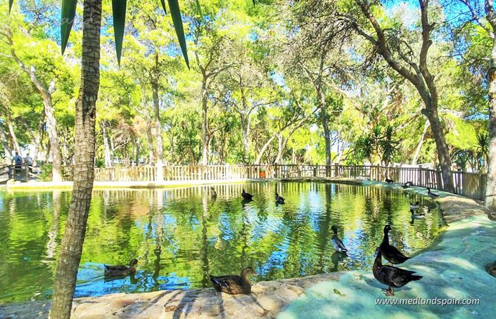 Image No.15-Appartement de 2 chambres à vendre à Guardamar del Segura