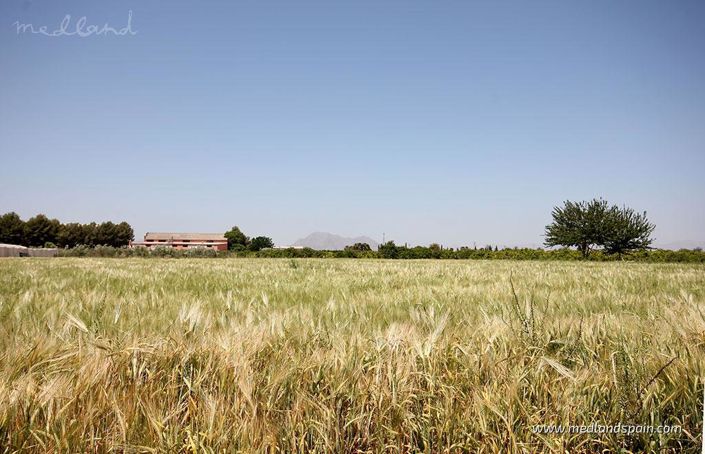 Image No.11-3 Bed Villa for sale