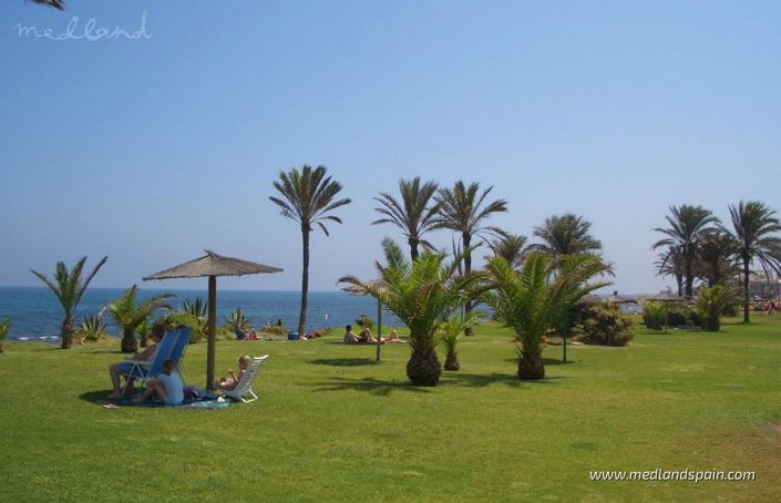 Image No.14-Appartement de 1 chambre à vendre à Torrevieja