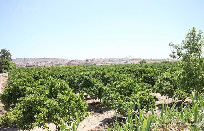 Image No.7-Appartement de 2 chambres à vendre à Benijofar