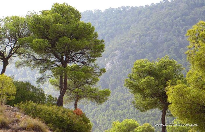 Image No.12-Appartement de 2 chambres à vendre à Hondón de las Nieves