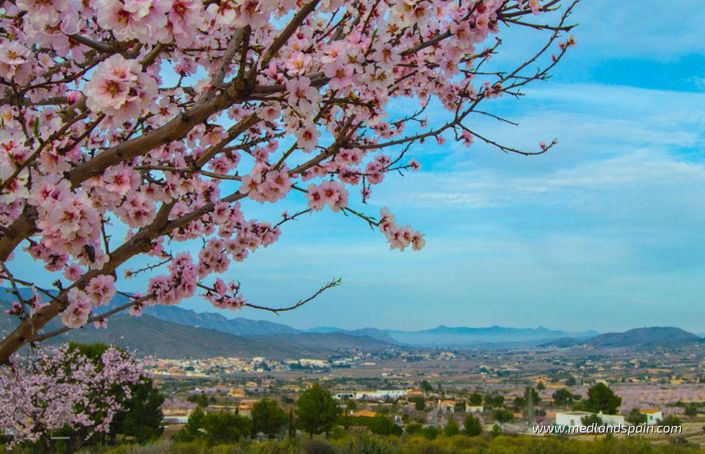 Image No.13-Appartement de 2 chambres à vendre à Hondón de las Nieves