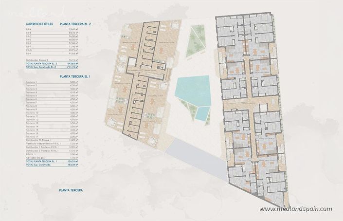 Image No.3-floorplan-3