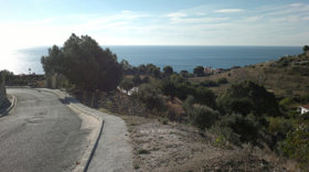 Photo 0
