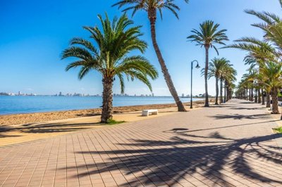 99318-for-sale-in-mar-de-cristal-34473288-lar