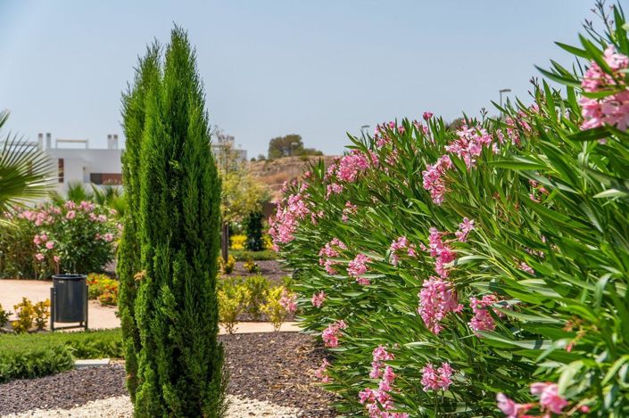 Image No.22-Bungalow de 2 chambres à vendre à Alicante