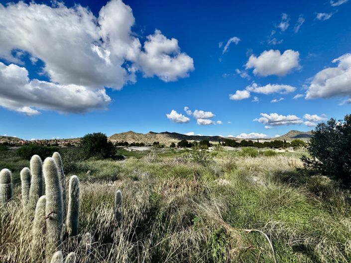 Image No.16-Villa de 3 chambres à vendre à Altaona Golf