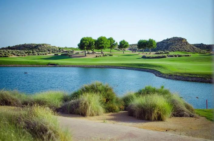 Image No.8-3 Bed Apartment for sale