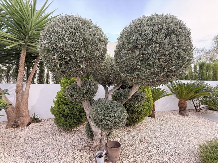 Image No.18-2 Bed Property for sale