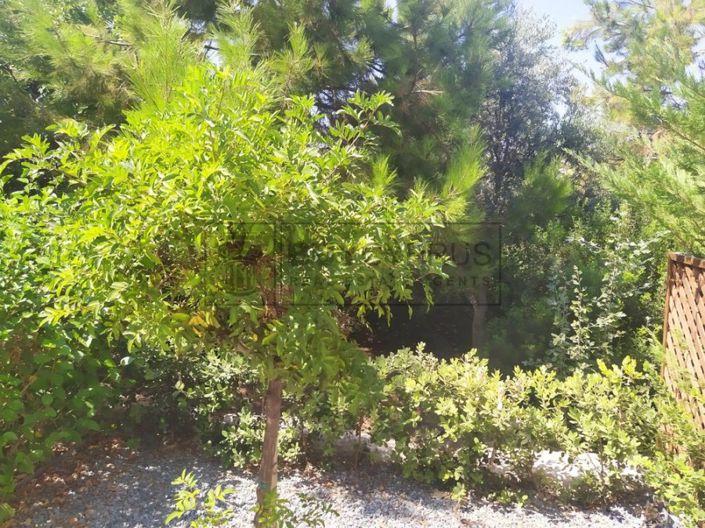 Image No.11-Maison de ville de 2 chambres à vendre à Universal