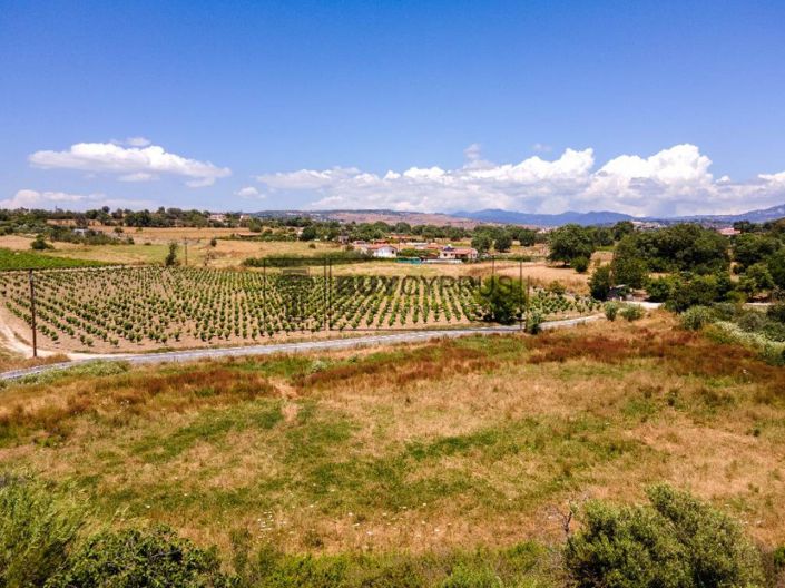 Image No.4-Terre à vendre à Polemi