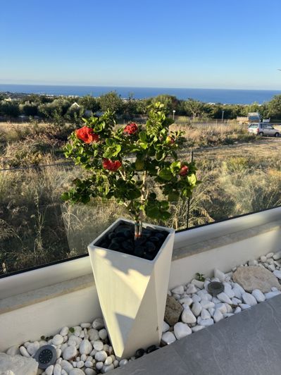 Image No.31-4 Bed Villa for sale