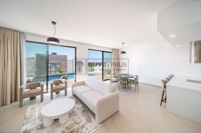 Detached Villa For Sale  in  Chlorakas