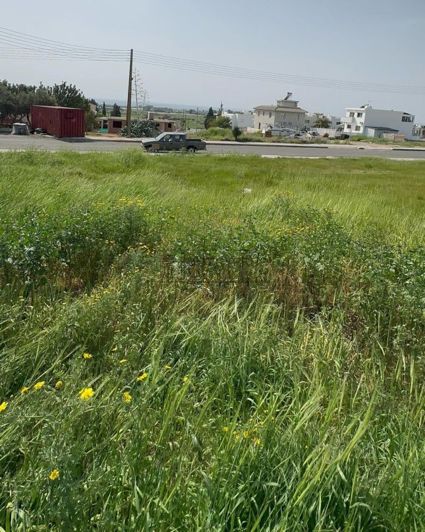 Image No.2-Terre à vendre à Timi