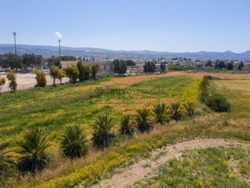 Residential Land  For Sale  in  Polis