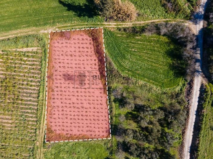 Image No.4-Land for sale