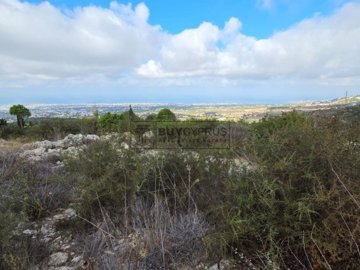 Residential Land  For Sale  in  Tsada