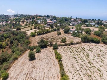 Residential Land  For Sale  in  Tsada