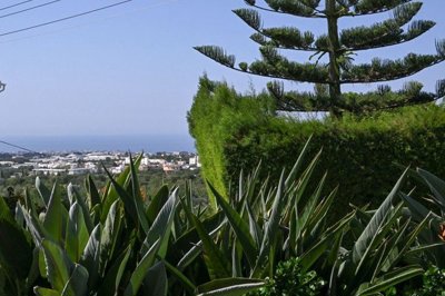 IMG-10296-10296-9