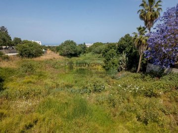 Residential Land  For Sale  in  Konia
