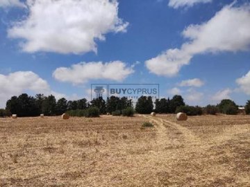 Residential Land  For Sale  in  Acheleia