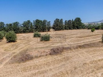 Residential Land  For Sale  in  Acheleia