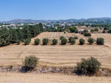 Residential Land  For Sale  in  Acheleia