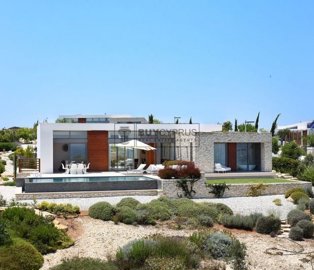 Detached Villa For Sale  in  Tsada