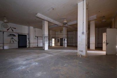 Building For Sale  in  Tremithousa