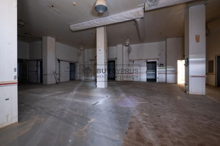 Image No.8-Propriété à vendre à Tremithousa