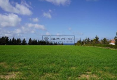 Touristic Land For Sale  in  Polis