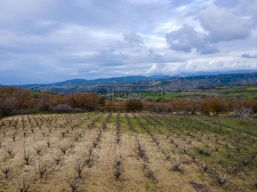 Residential Land  For Sale  in  Stroumpi