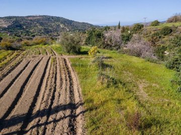 Residential Land  For Sale  in  Peristerona