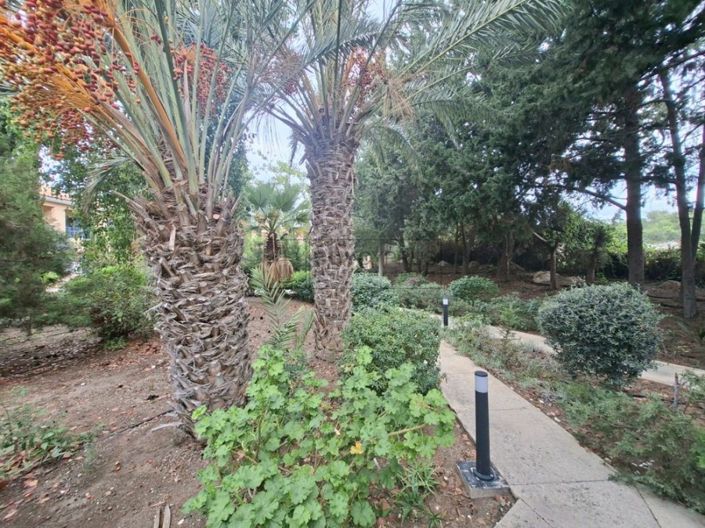 Image No.15-3 Bed Property for sale