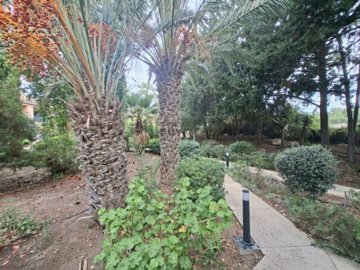 Semi Detached Villa For Sale  in  Kato Paphos