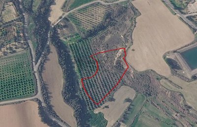 Agricultural Land For Sale  in  Prodromi
