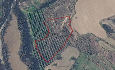 Agricultural Land For Sale  in  Prodromi