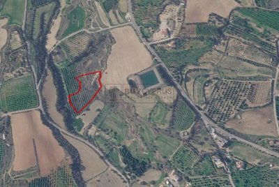 Agricultural Land For Sale  in  Prodromi