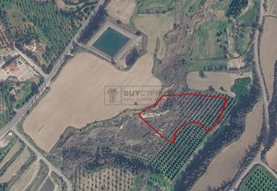 Agricultural Land For Sale  in  Prodromi