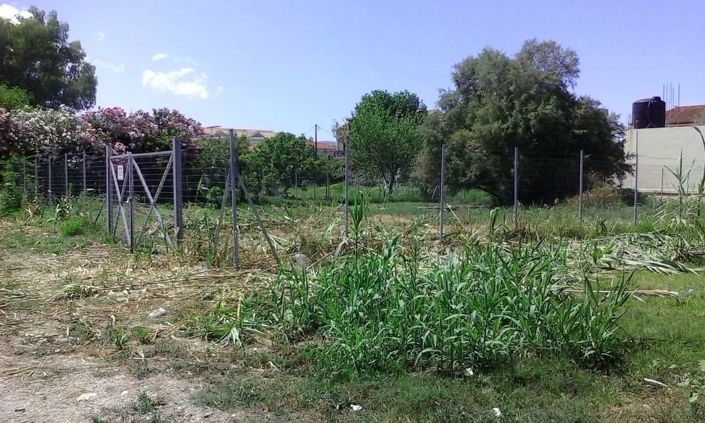 Image No.3-1 Bed Plot for sale