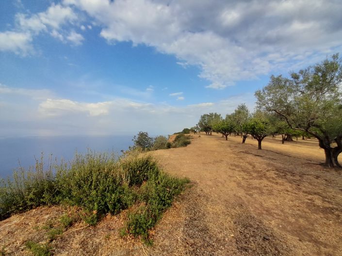 Image No.12-Terrain de 1 chambre à vendre à Péloponnèse