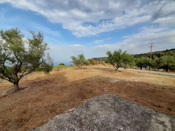 Image No.2-Terrain de 1 chambre à vendre à Péloponnèse