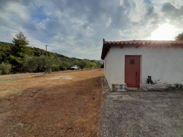 Image No.5-Terrain de 1 chambre à vendre à Péloponnèse