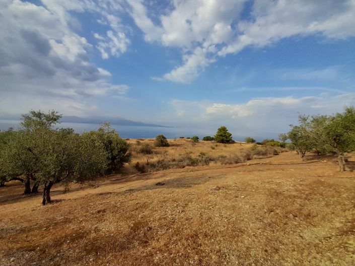 Image No.8-Terrain de 1 chambre à vendre à Péloponnèse