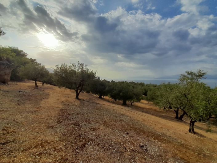 Image No.9-Terrain de 1 chambre à vendre à Péloponnèse